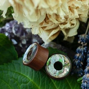 Abalone Shell and Wood Tunnel Plugs
